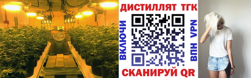 Купить где  Черепаново  ТГК вейп 