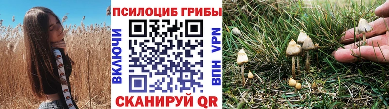 Галлюциногенные грибы GOLDEN TEACHER  Купить где  Черепаново 